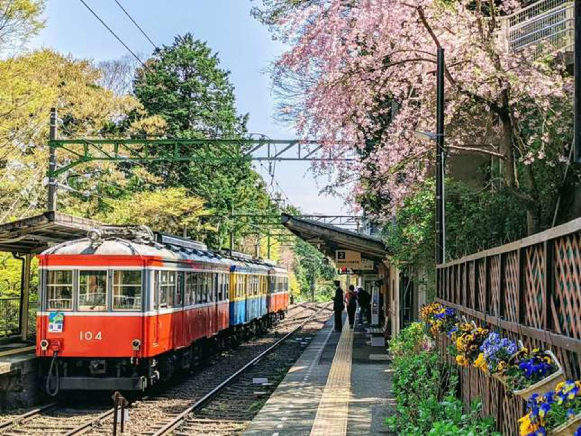 Hotel Morinokaze Hakone Sengokuhara Kültér fotó
