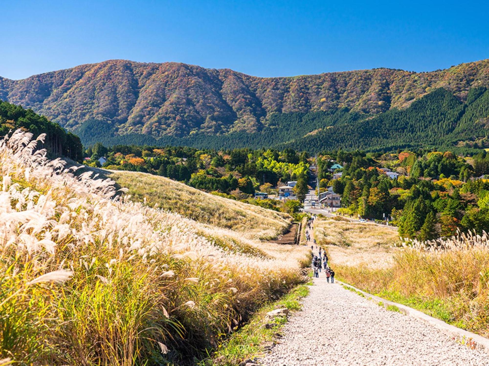 Hotel Morinokaze Hakone Sengokuhara Kültér fotó